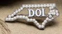 Desert Lapel Pin